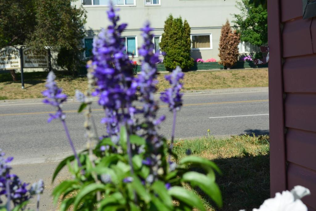 Queensway Court Motel Prince George Bagian luar foto