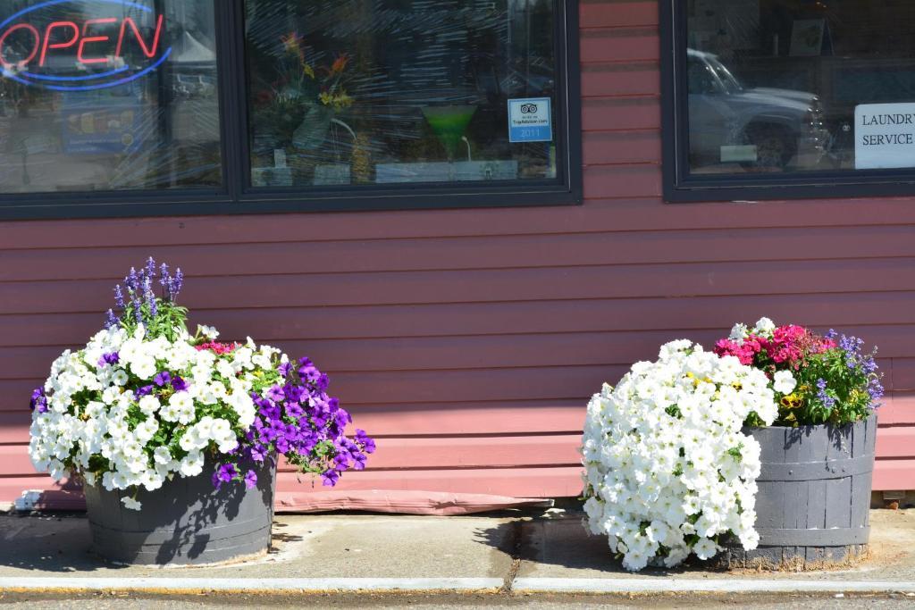 Queensway Court Motel Prince George Bagian luar foto